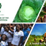 Toolkit to help agribusinesses run their own School Farm Competition